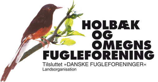 Holbæk og Omegns Fugleforening